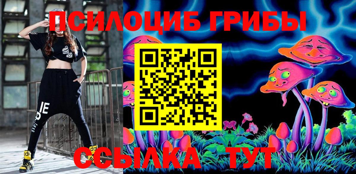 Псилоцибиновые грибы Psilocybe  Вход с VPN  Миллерово  Псилоцибиновые грибы Cubensis 